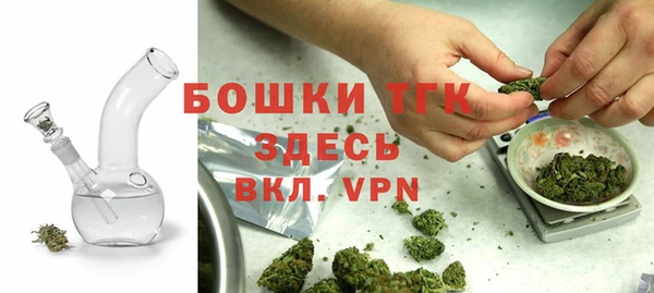 экстази Арсеньев
