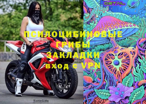 стаф Армянск