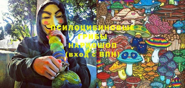 спиды Алзамай